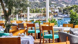 Novikov Grup, Türkiye’de büyümeye devam ediyor