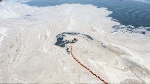 Müsilaj, tatil beldelerinde konut piyasasını olumsuz etkiledi