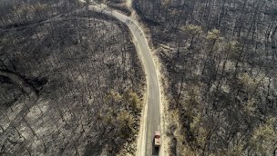 18 ilçe 'Genel Hayata Etkili Afet Bölgesi' ilan edildi