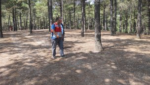 İstanbul'da mesire alanı ve tabiat parklarda piknik yapılabilecek