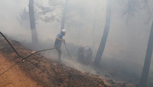 Bodrum'daki orman yangınları için topyekün seferberlik!
