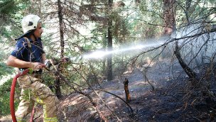 Kartal'da çıkan orman yangını söndürüldü