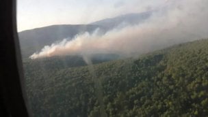 İzmir Çeşme'de korkutan orman yangını!