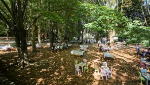 MESA Orman II projesi doğaseverlere ev sahipliği yaptı