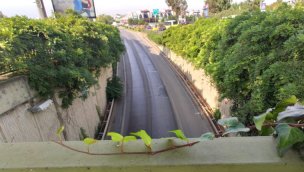 İstanbul'da dikey bahçelerin sökümü devam ediyor