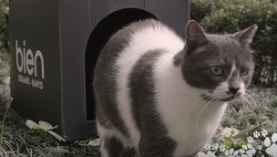 Bien’den minik patilere Kedi Evi!