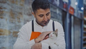 Koçtaş mağazaları kedilerin yuvaları oldu