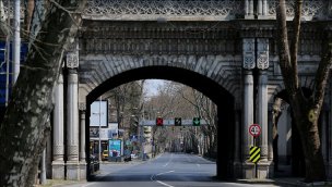 Çırağan Caddesi'ndeki çınar ağaçlarının kesilmesine tepki!