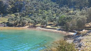 Muğla'daki Yavansu Koyu'nda kaçak yapılar yıkılıyor