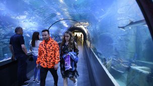 Trabzon'daki "Tünel Akvaryum"u 4 günde 8 bin 448 kişi gezdi