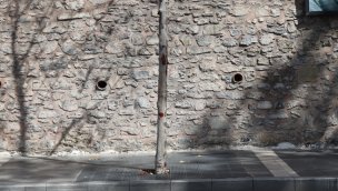 İBB'nin Çırağan Caddesi'nde diktiği yeni fidanlar kurudu mu?