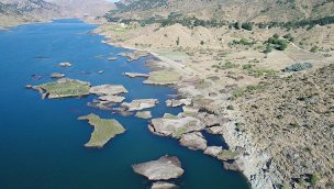 Çat Barajı'ndaki 'yüzen adalar' karaya oturdu!