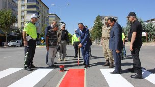 Samsun, Tokat, Kastamonu, Sinop ve Çankırı'da yaya geçitleri kırmızıya boyandı