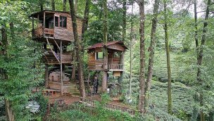 Ağaç gövdeleri arasına yaptığı iki ahşap evde yakınlarını ağırlıyor