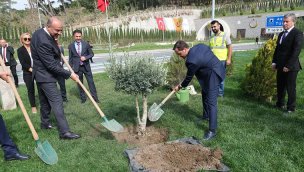 Kalyon Holding'ten Ayvacık-Küçükkuyu'ya 50 bin fidan!