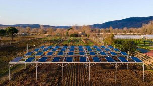 Enerjisa Üretim, Komşuköy iş birliğiyle agrivoltaik tarıma başlıyor