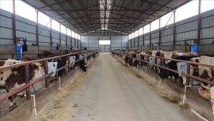 Hektaş'tan yeni üretim tesisine 48 milyon dolar yatırım!