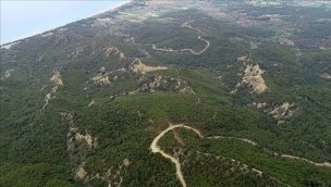 Gelibolu Yarımadası'nda bulunan 28. Alay Şehitliği ihya edilecek!