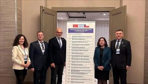 Türk otomotiv sektörü Arjantin ve Şili'de büyüme hedefliyor!
