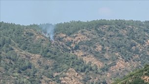 Marmaris'te orman yangını başladı!