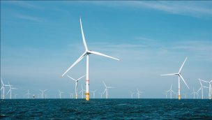 Rüzgar enerjisi saha çalışmalarında çevresel analiz yapılacak!
