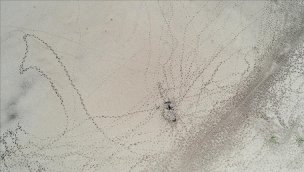 İstanbul'da barajların doluluk oranı yüzde 42,14 olarak ölçüldü!