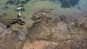 İzmir'deki Tahtalı Barajı'nda doluluk son 14 yılın en düşük seviyesinde!