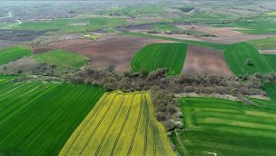 Arsa ve tarla satışlarındaki rekor fiyatlara yansıdı!