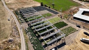 Türkiye'nin ilk güneş takip sistemli tarım GES'i açıldı!