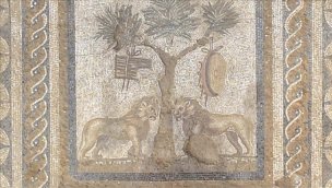 Düzce'de antik kentte "aslanlı mozaik" bulundu!