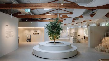 Roca Grup’un küresel galeri ağı Sydney ile büyüyor