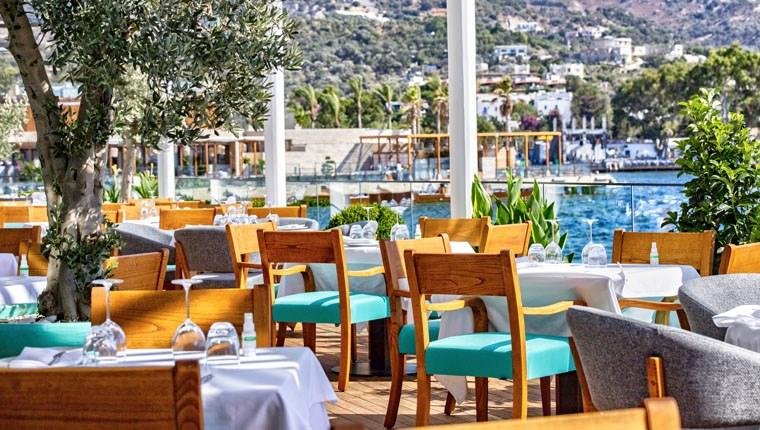 Novikov Grup, Türkiye’de büyümeye devam ediyor