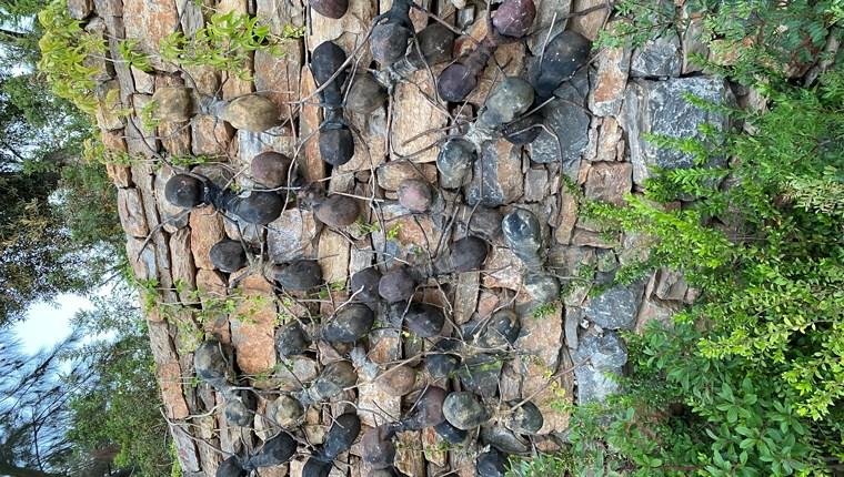 Sanatseverler Bodrum Loft projesinde buluştu!