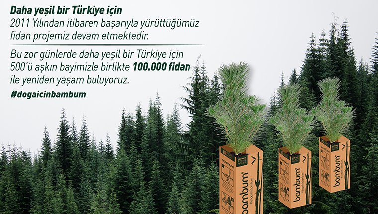 Bambum, 100 bin fidan dağıtıyor