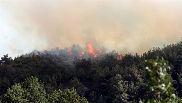 Karabük'te çıkan yangın kısmen kontrol altına alındı!