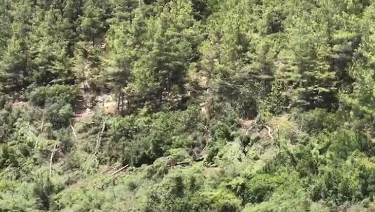 YK Enerji'den Akbelen sahası açıklaması