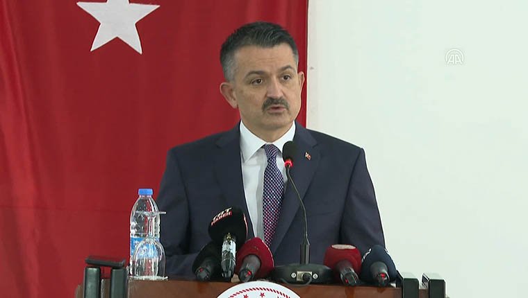 Bakan Pakdemirli: "Yanan alanlar tekrar ağaçlandırılacak"