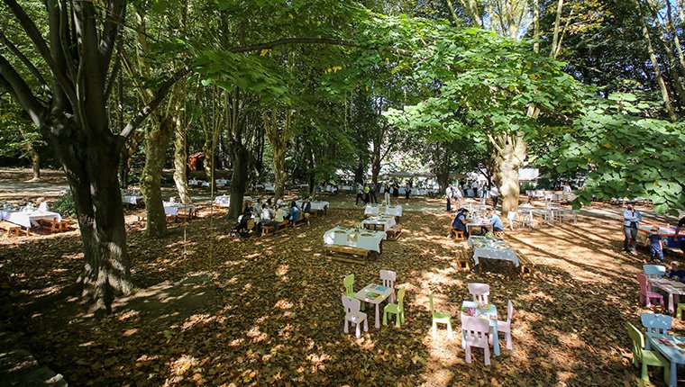 MESA Orman II projesi doğaseverlere ev sahipliği yaptı