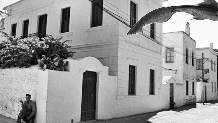 Nef, Sıtkı Kösemen ‘Dönüşümler’ sergisini 16. Contemporary İstanbul’da sunuyor