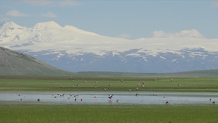 İklim Değişikliği Başkanlığı ile iklim krizi ile mücadele güçlenecek