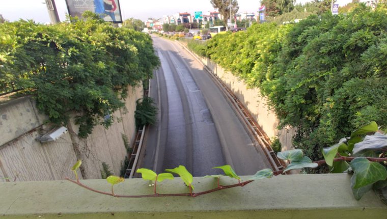 İstanbul'da dikey bahçelerin sökümü devam ediyor
