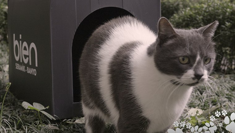 Bien’den minik patilere Kedi Evi!