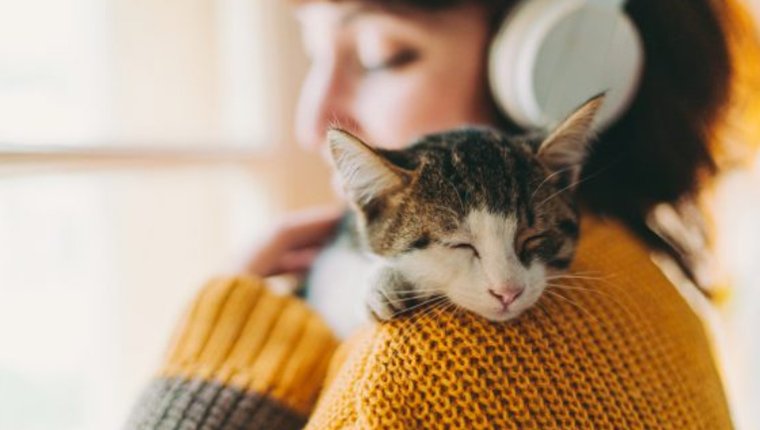 Koçtaş'tan minik dostlarımız için indirim kampanyası!