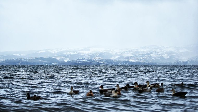 Sapanca Gölü'nde su seviyesi son 7 yılın zirvesine ulaştı