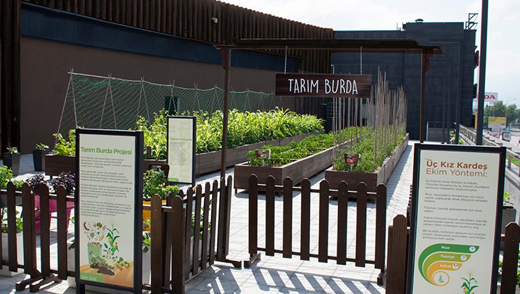 41 Burda AVM’den Kocaeli’nde bir ilk: “Tarım Burda” projesi