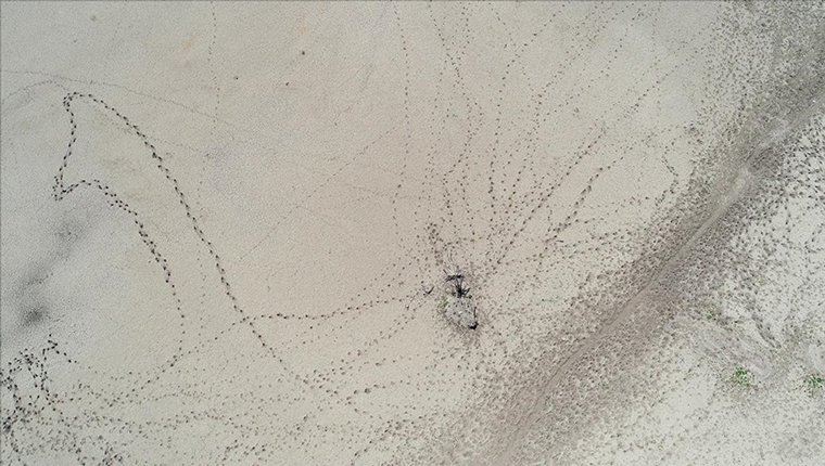 İstanbul'da barajların doluluk oranı yüzde 42,14 olarak ölçüldü!