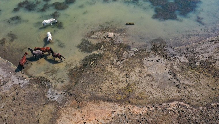 İzmir'deki Tahtalı Barajı'nda doluluk son 14 yılın en düşük seviyesinde!