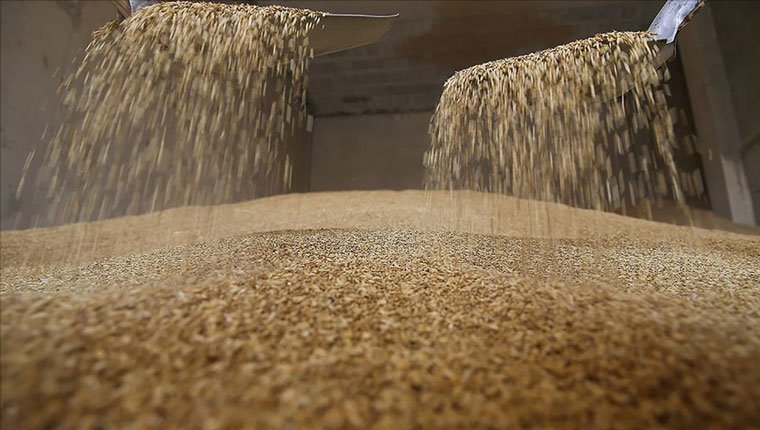 TMO'nun aldığı hububat miktarı 8,7 milyon tona ulaştı!