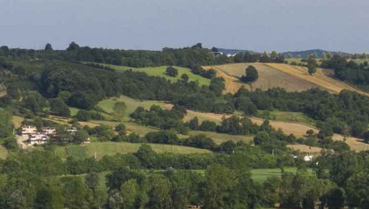 2B alanları ile ilgili merak edilen sorular!