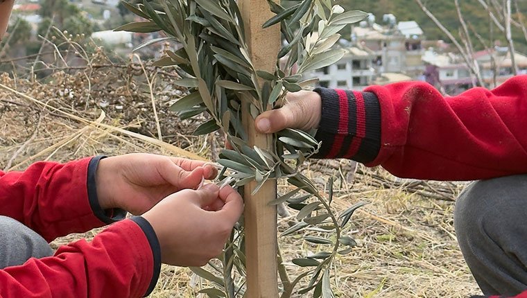 Kervan'dan anlamlı sosyal sorumluluk projesi; "Okul Bahçeleri Zeytin Bahçeleri Olsun"